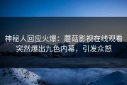 神秘人回应火爆：蘑菇影视在线观看突然爆出九色内幕，引发众怒