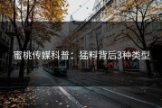蜜桃传媒科普：猛料背后3种类型