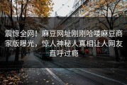 震惊全网！麻豆网址刚刚哈喽麻豆商家版曝光，惊人神秘人真相让人网友直呼过瘾