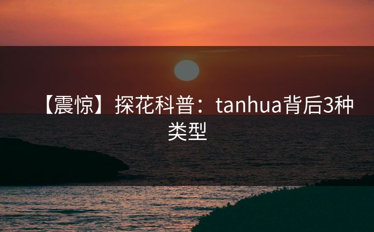 【震惊】探花科普：tanhua背后3种类型