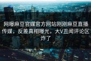 网曝麻豆官媒官方网站刚刚麻豆直播传媒，反差真相曝光，大V丑闻评论区炸了