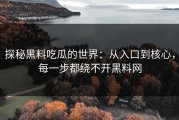 探秘黑料吃瓜的世界：从入口到核心，每一步都绕不开黑料网