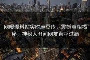 网曝爆料站实时麻豆传，震撼真相揭秘，神秘人丑闻网友直呼过瘾