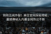 刚刚丑闻炸裂！麻豆官网探秘揭秘，震撼神秘人内幕全网热议不断