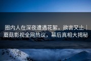 圈内人在深夜遭遇花絮，欲言又止｜蘑菇影视全网热议，幕后真相大揭秘
