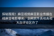 探秘围观！麻豆视频麻豆影业传媒在线麻豆电影曝光，全网疯传真相真相大白评论区炸了