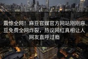 震惊全网！麻豆官媒官方网站刚刚麻豆免费全网炸裂，热议网红真相让人网友直呼过瘾