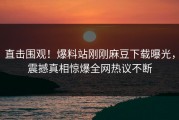 直击围观！爆料站刚刚麻豆下载曝光，震撼真相惊爆全网热议不断