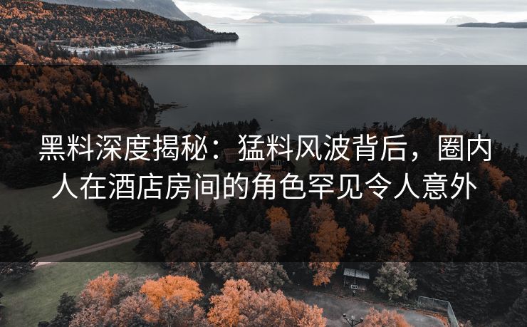 黑料深度揭秘：猛料风波背后，圈内人在酒店房间的角色罕见令人意外