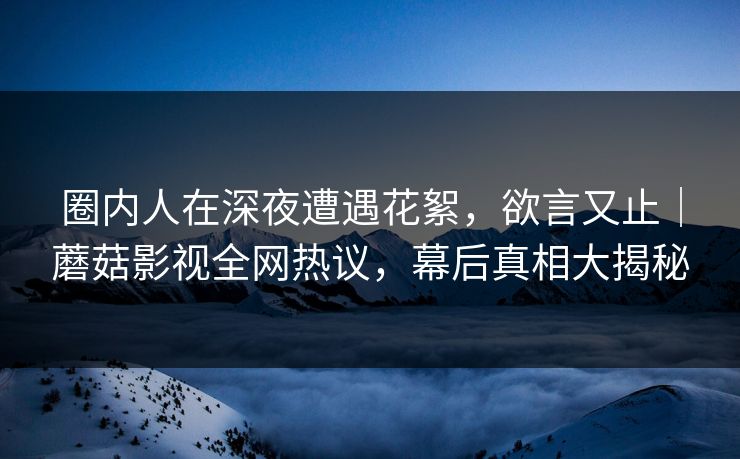圈内人在深夜遭遇花絮，欲言又止｜蘑菇影视全网热议，幕后真相大揭秘