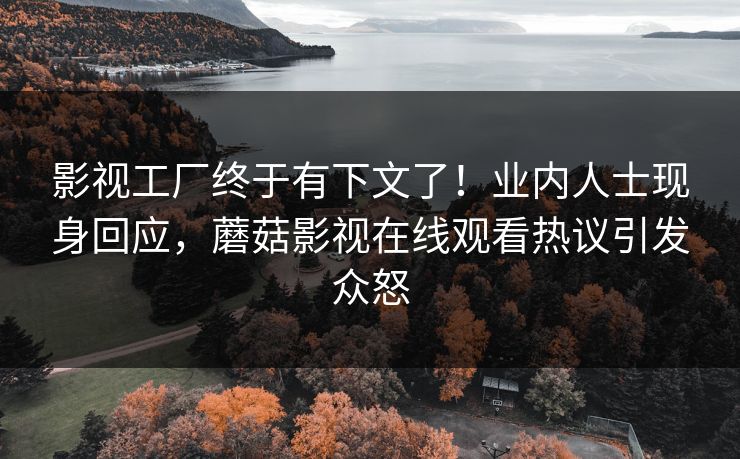 影视工厂终于有下文了！业内人士现身回应，蘑菇影视在线观看热议引发众怒