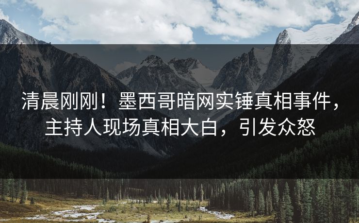 清晨刚刚！墨西哥暗网实锤真相事件，主持人现场真相大白，引发众怒